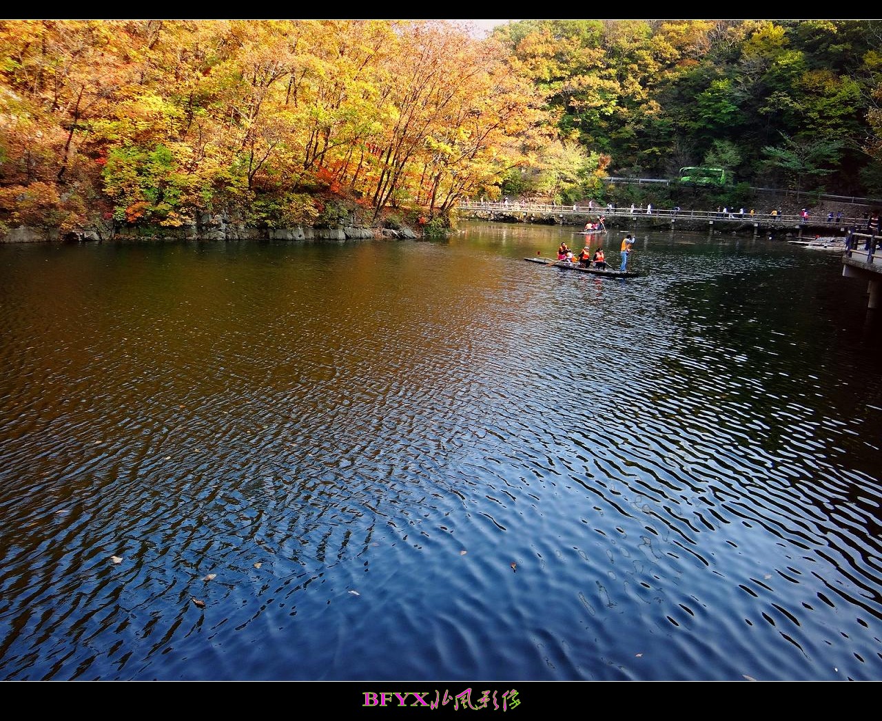 DSC01141_conew1.jpg