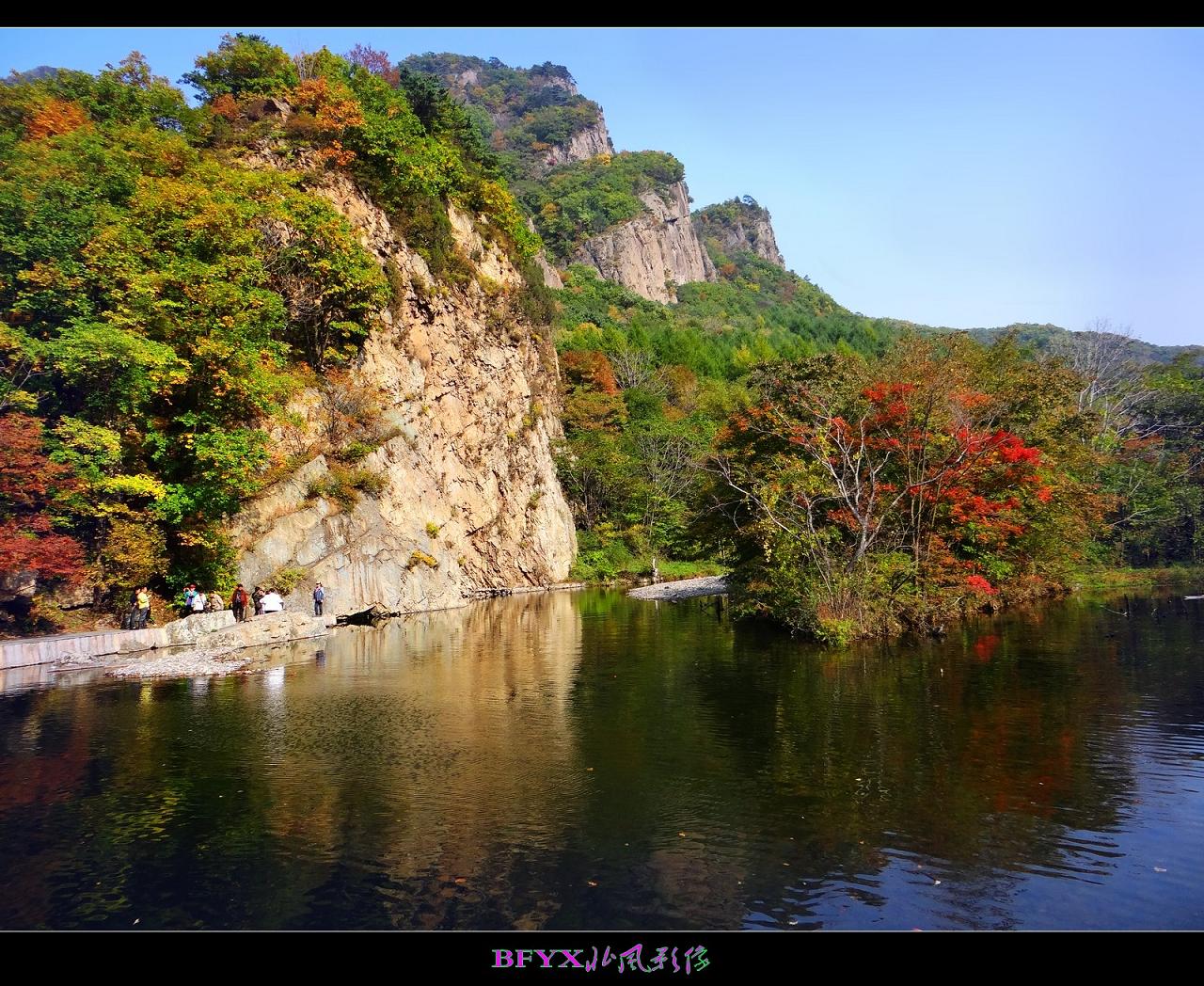DSC01110_conew1.jpg