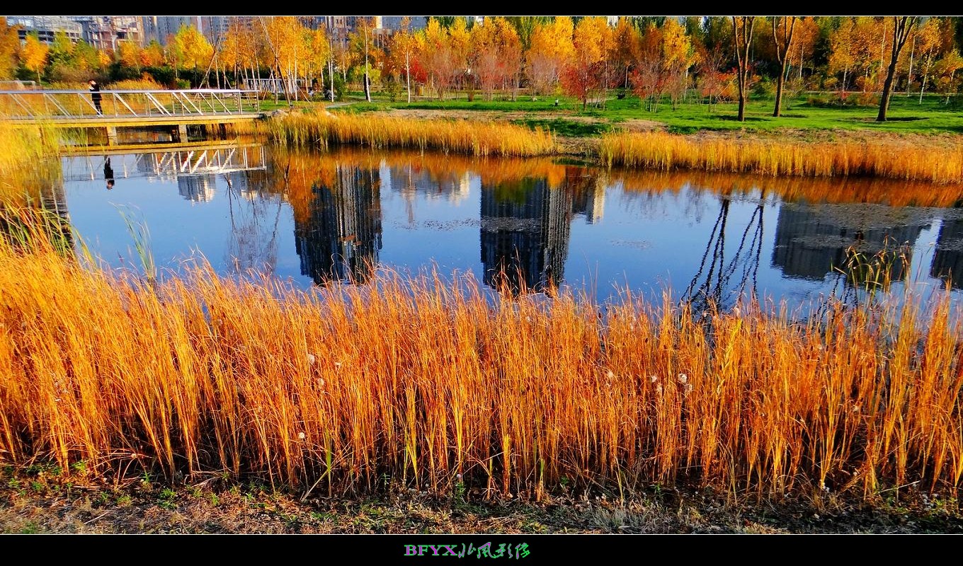 DSC01435_conew1.jpg