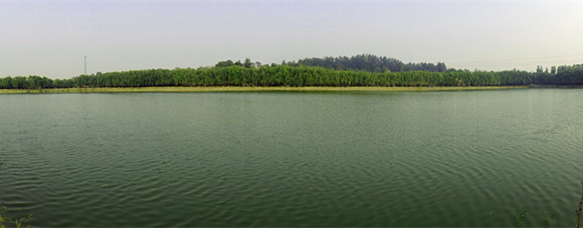 DSCN7145_.jpg