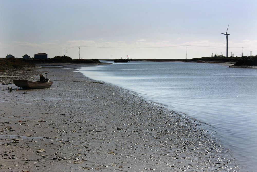 _IGP4246.jpg