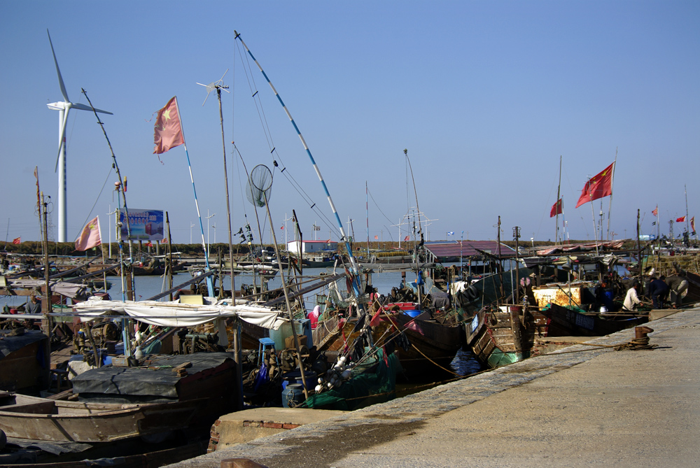 _IGP4308.jpg