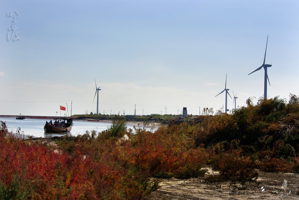 _IGP4345.jpg