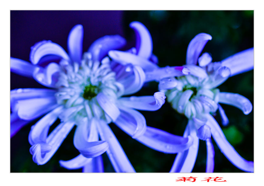 20131013վջƬ 10077.jpg