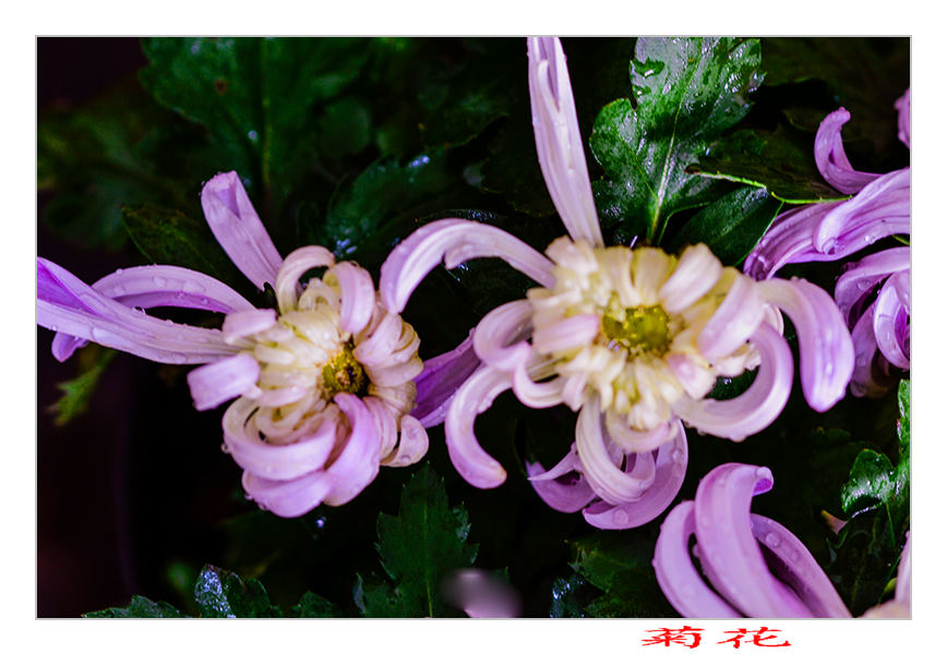 20131013վջƬ 10133.jpg