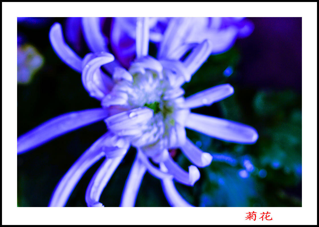 20131013վջƬ 10044.jpg