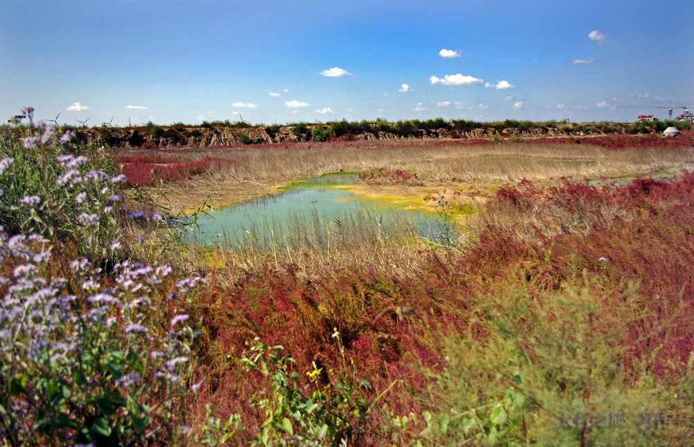 _IGP4409.jpg