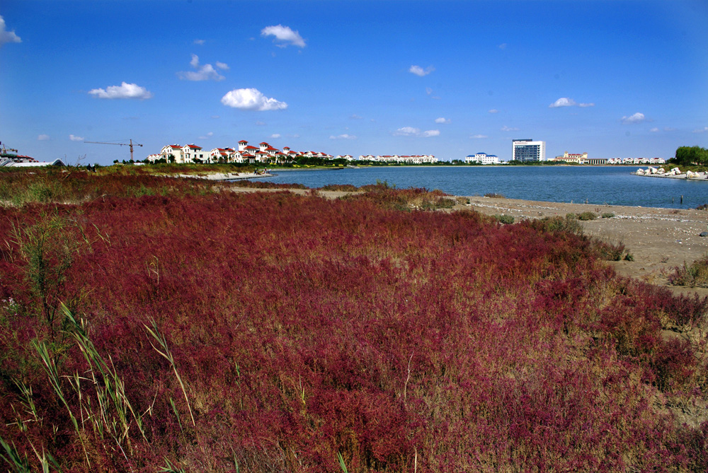 _IGP4440.jpg