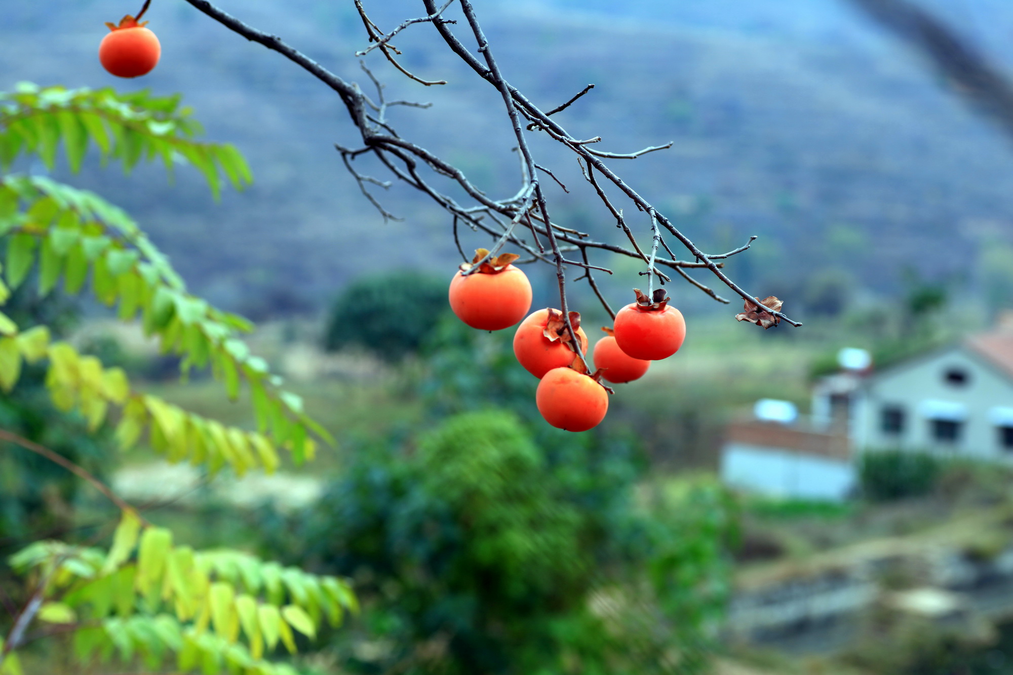 baoԽ 04.jpg