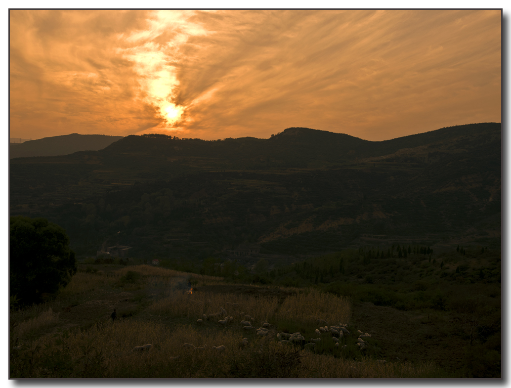 DSC_9178.jpg