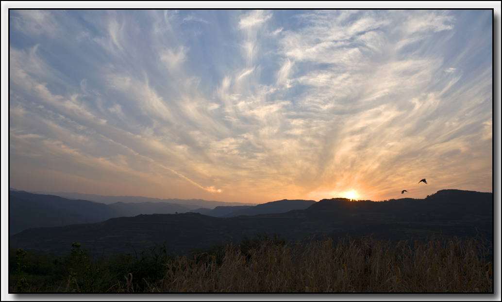 DSC_9194.jpg