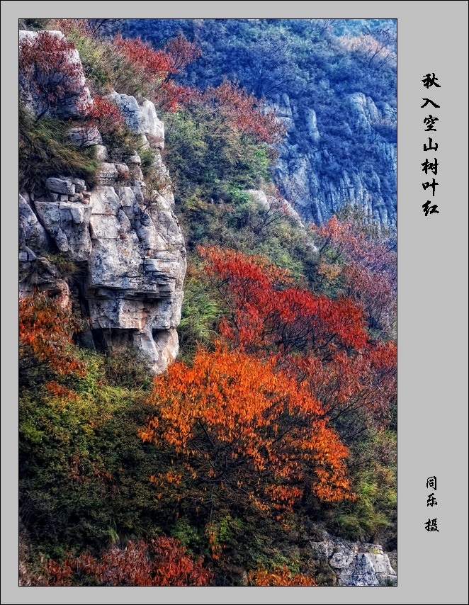 DSC_0127.jpg