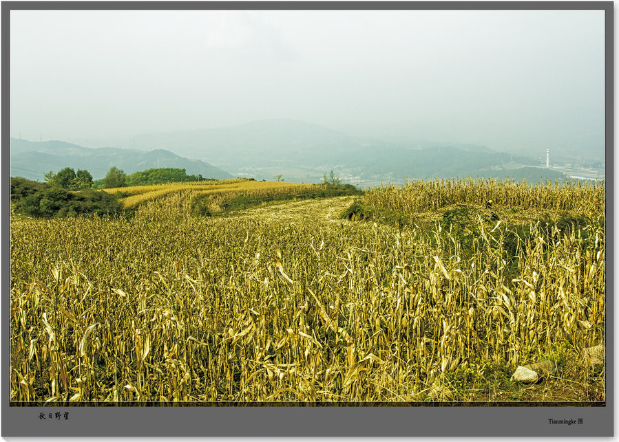 01IMG_1491 (2).jpg