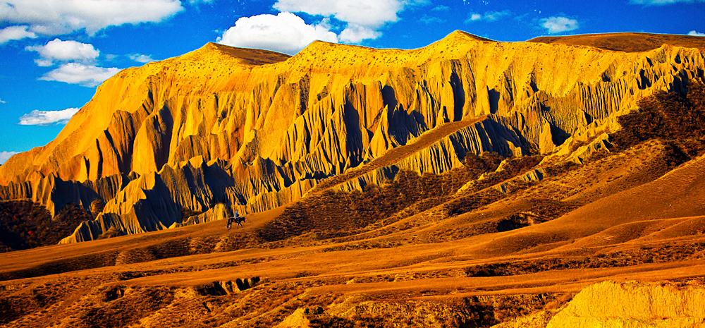 _MG_4270.jpg