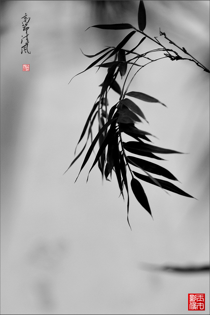߽磨11024.jpg