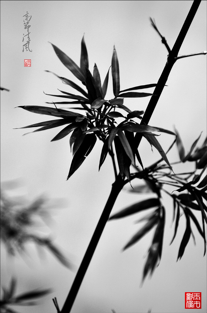 ߽磨41024.jpg