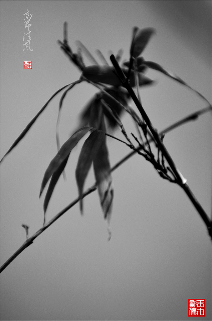 ߽磨51024.jpg