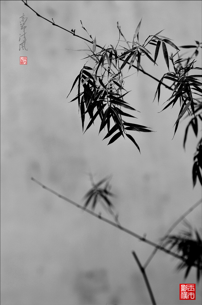߽磨61024.jpg