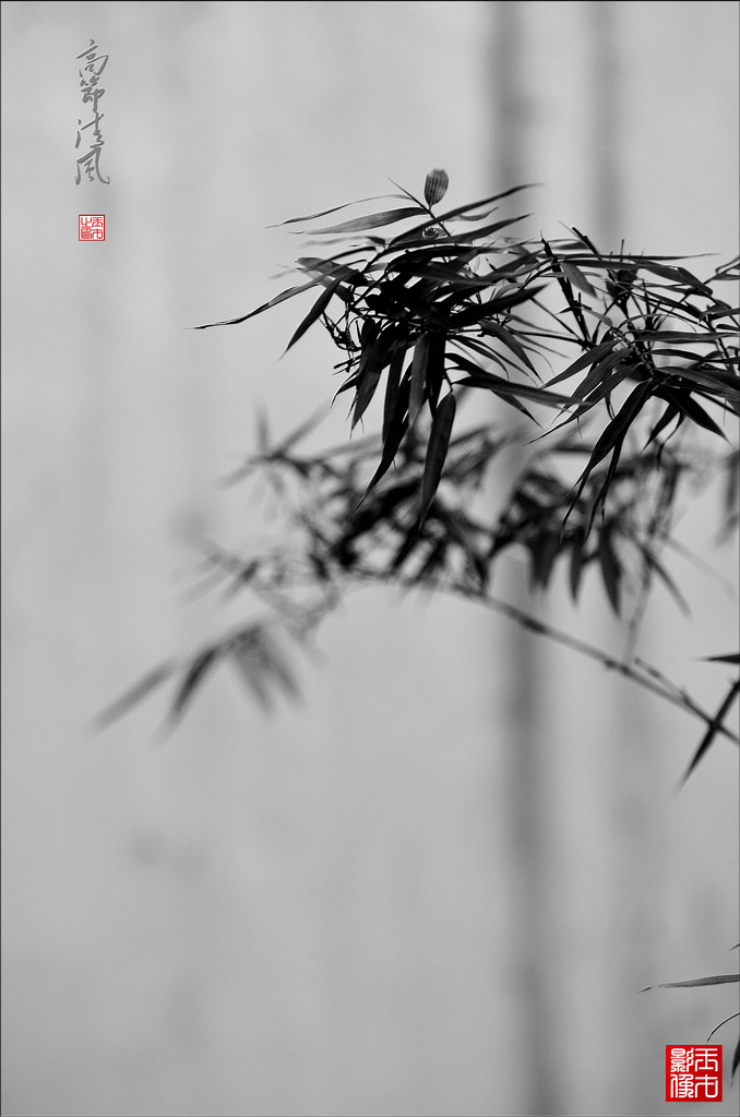 ߽磨71024.jpg