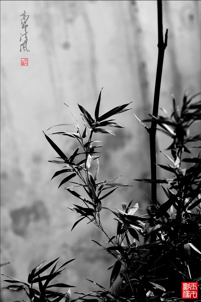 ߽磨81024.jpg