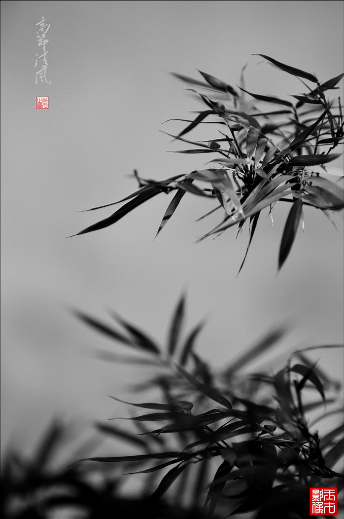 ߽磨91024.jpg
