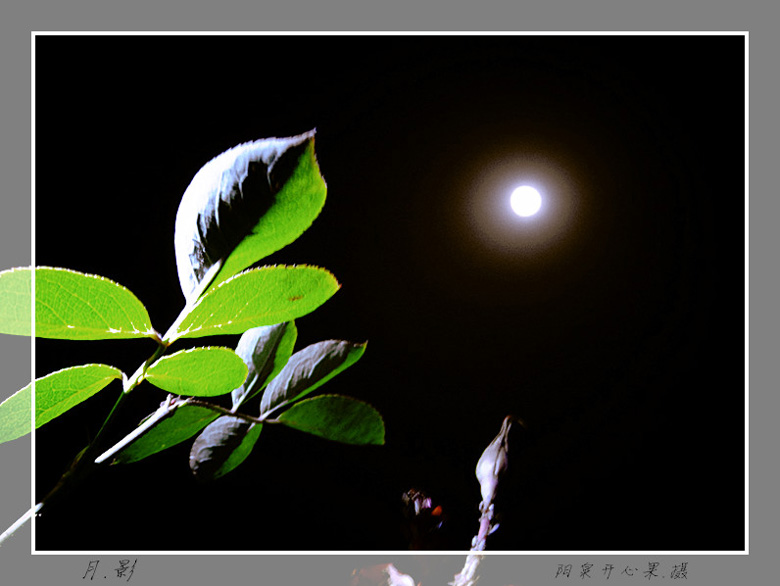 DSC03085_ .jpg