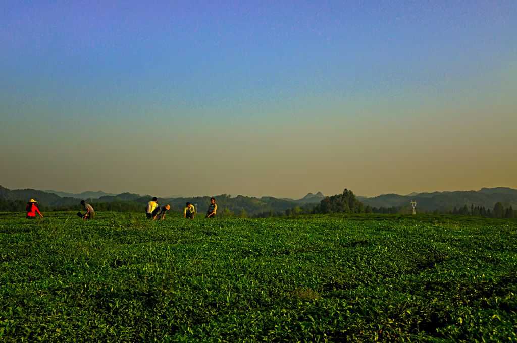 DSC_0308.jpg
