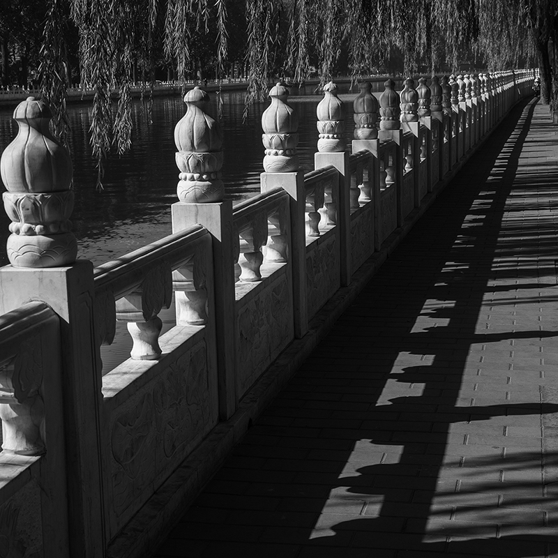 _P5A0477=.jpg