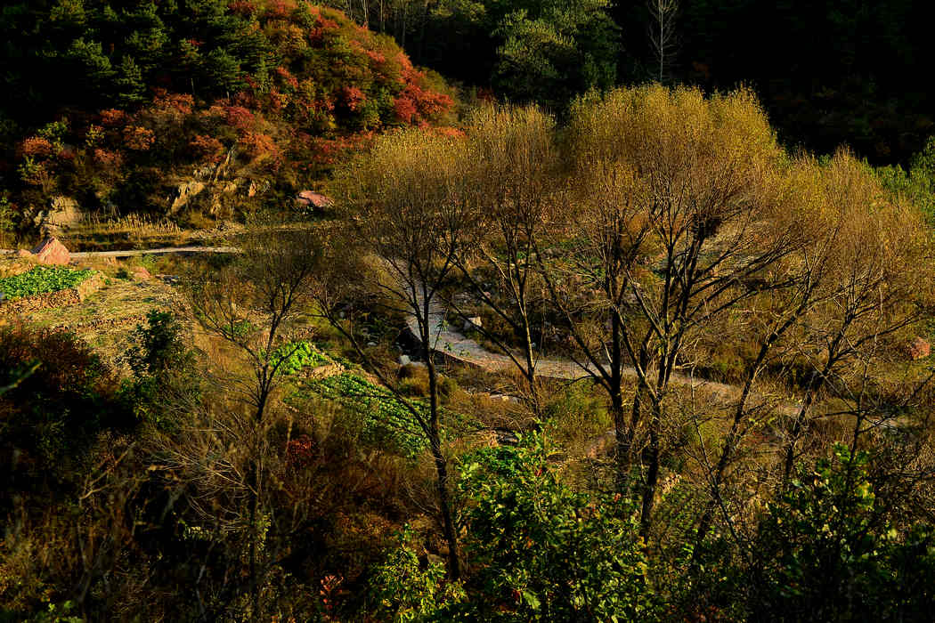 DSC_02.jpg