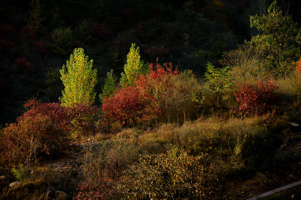 DSC_06.jpg