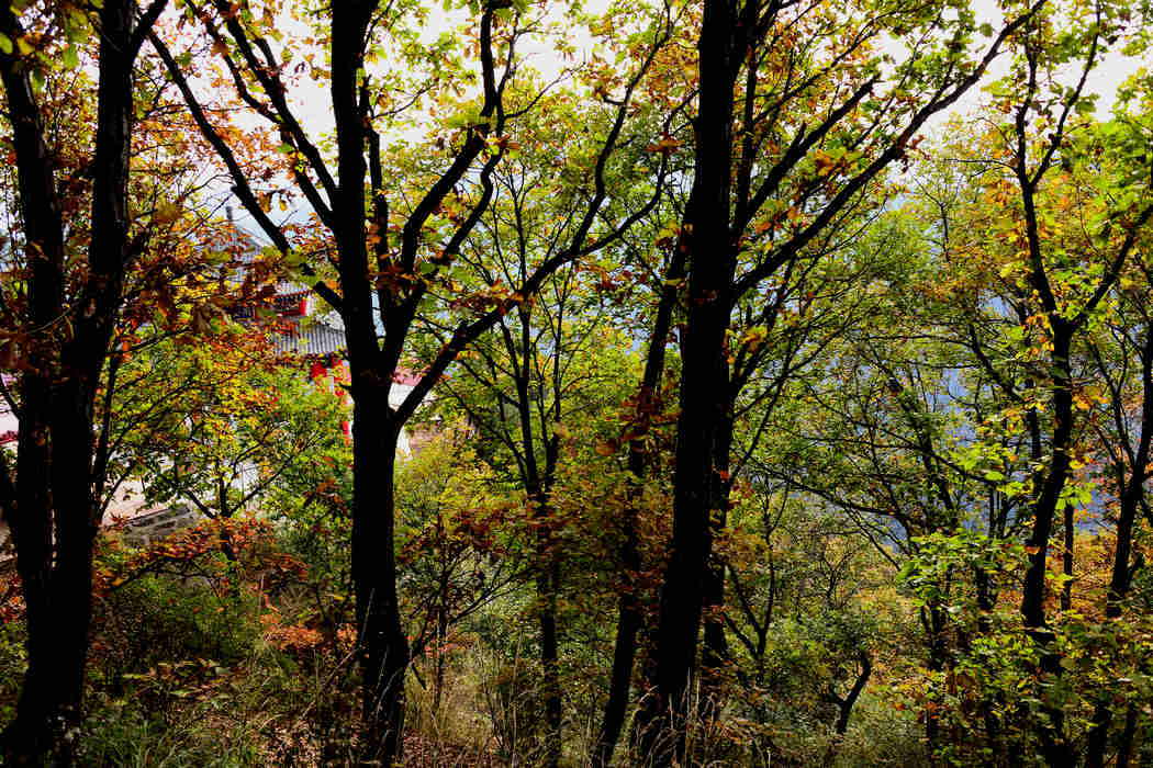 DSC_18.jpg