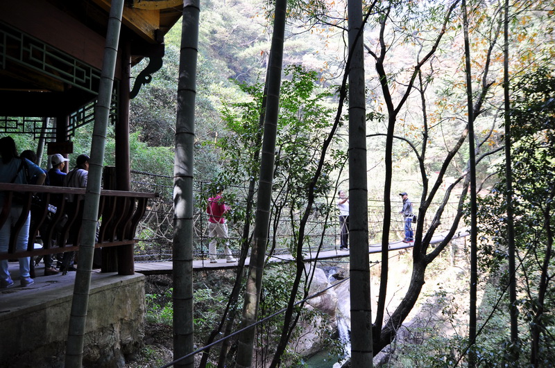 DSC_0030_.jpg