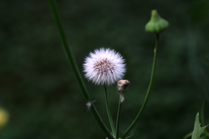 PICT0002.jpg