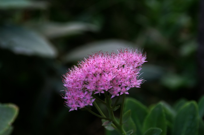 PICT007.jpg