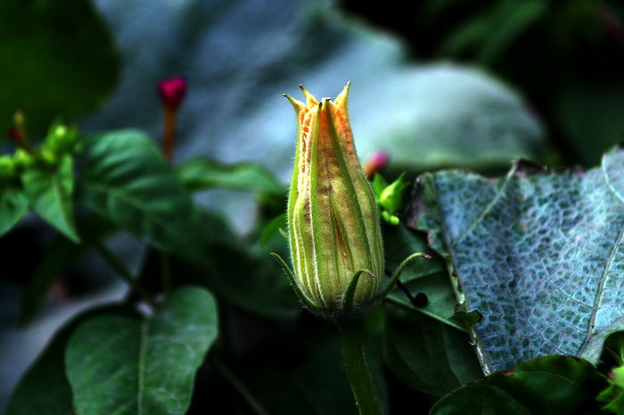PICT008.jpg