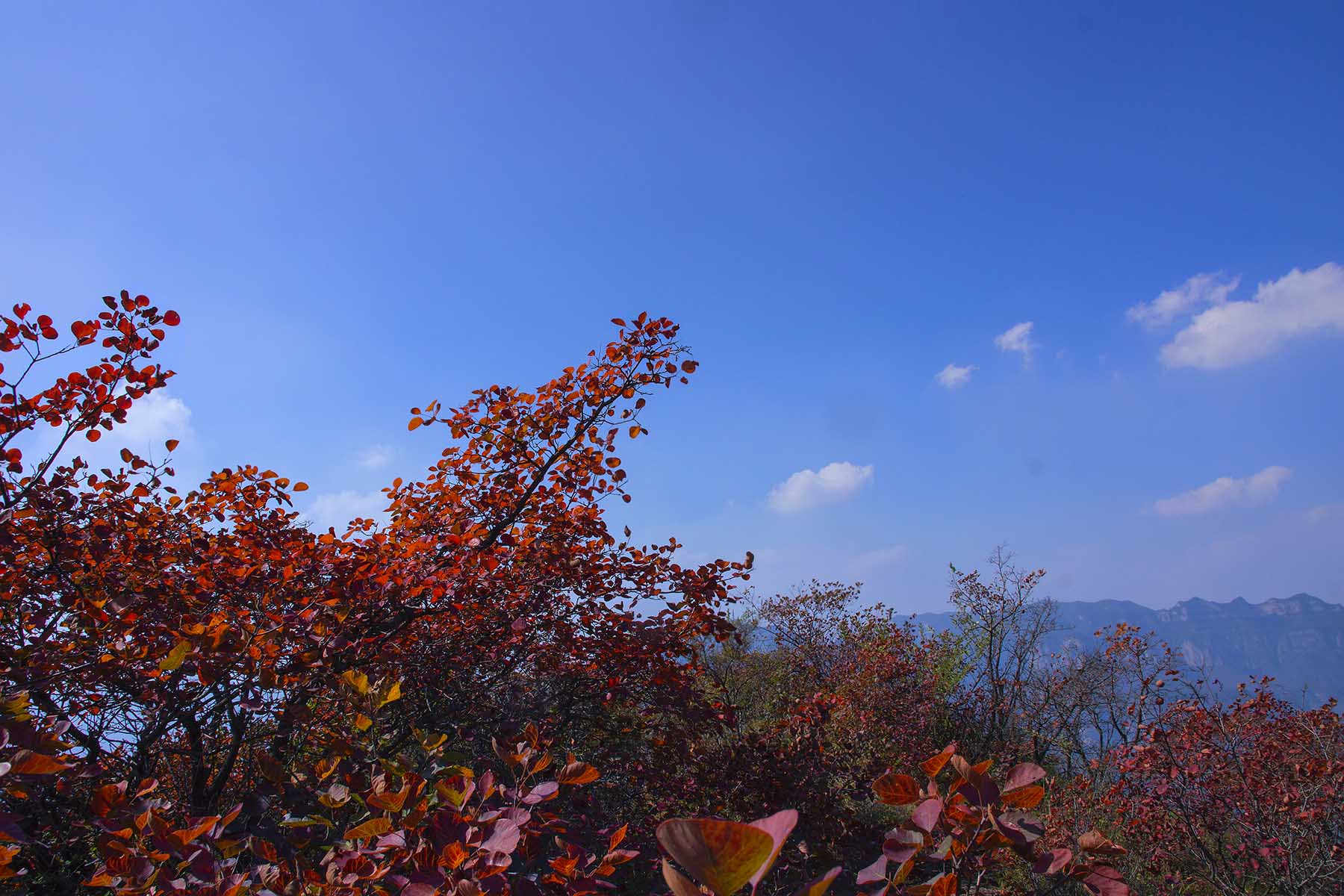 DSC03605.jpg