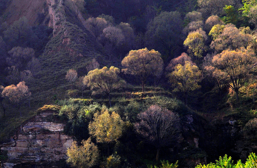 DSC_4587_conew1_.jpg