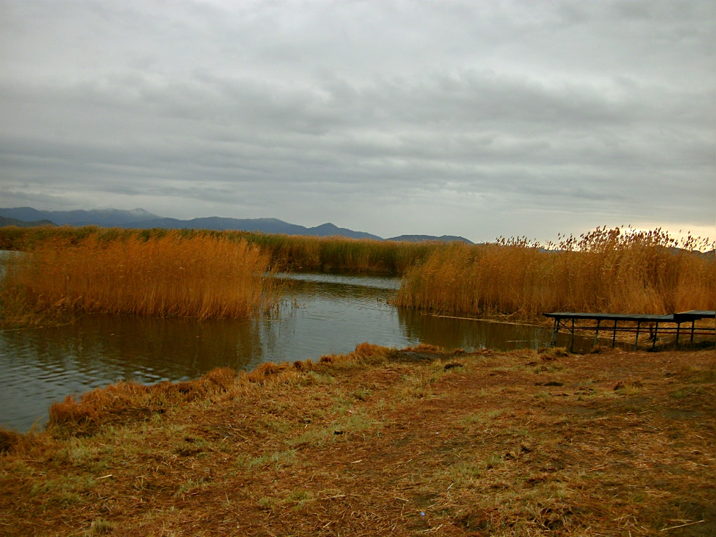 GEDC0114.JPG