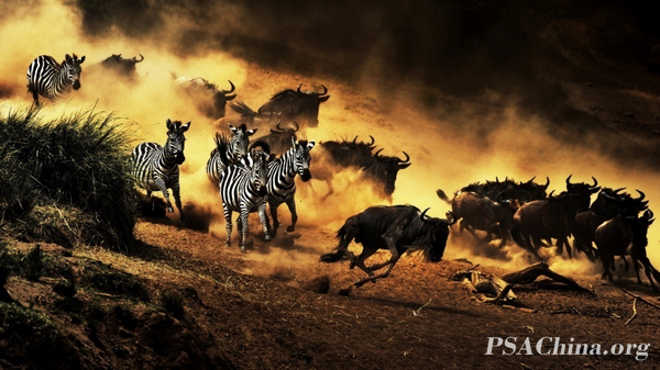 10.Ʒһ·ǰAll the way forward.jpg