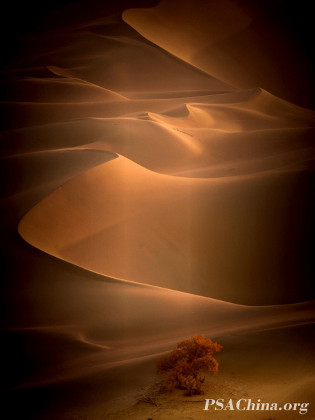 01.ԾȻFIAPƷɳĮաDesert sunset.jpg