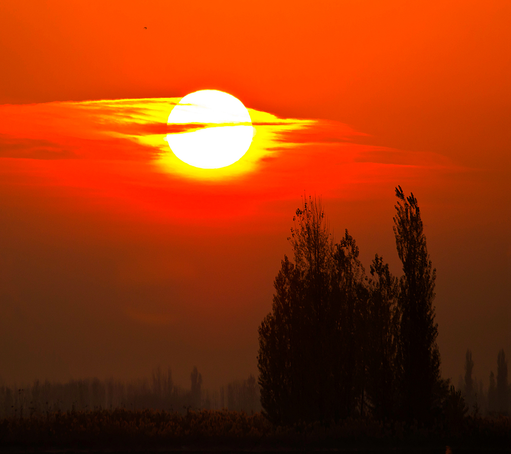 _N8E0374.JPG