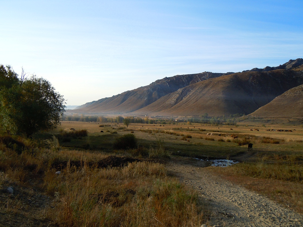 DSCN5321.jpg