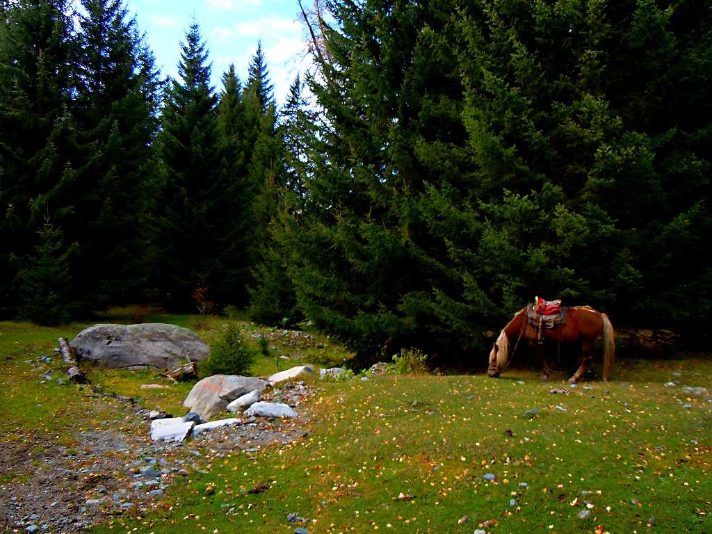 DSCN5143.JPG
