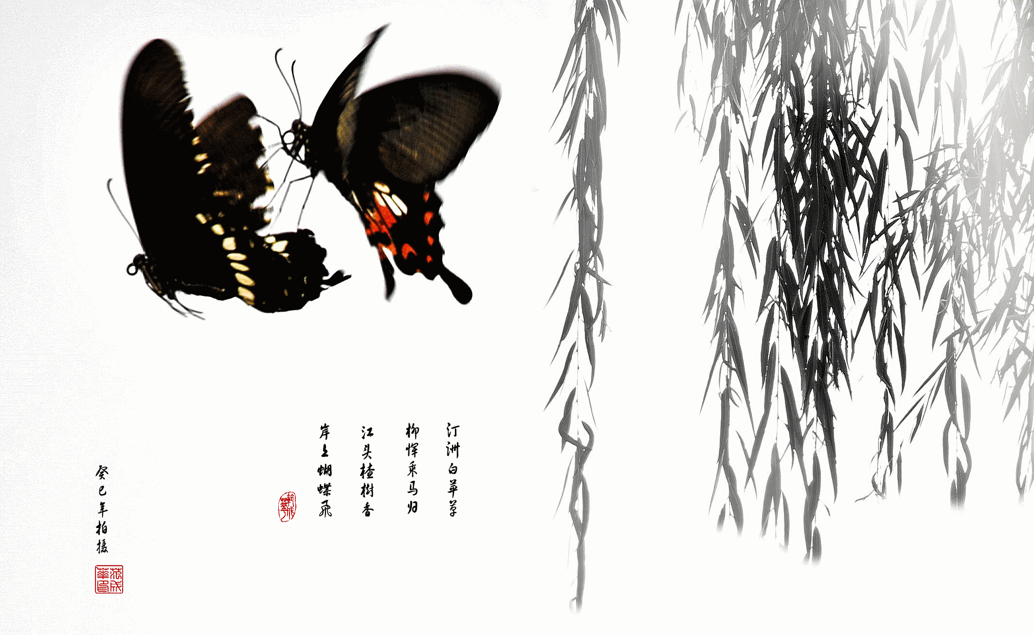 ˫.gif