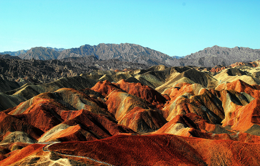 DSC_6867_conew1_.jpg