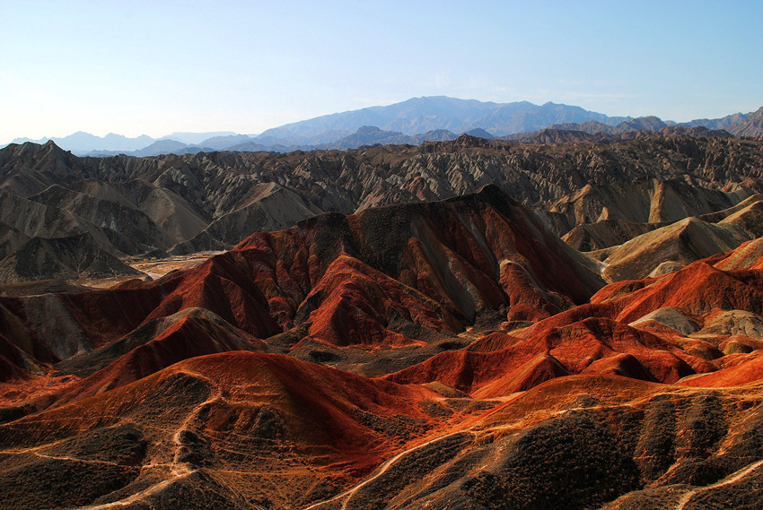 DSC_6880_conew1_.jpg