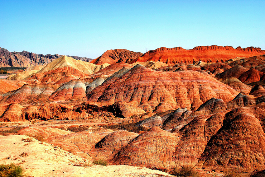 DSC_6898_conew1_.jpg