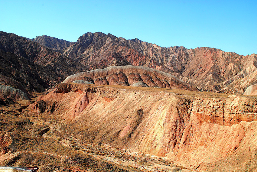 DSC_6906_conew1_.jpg