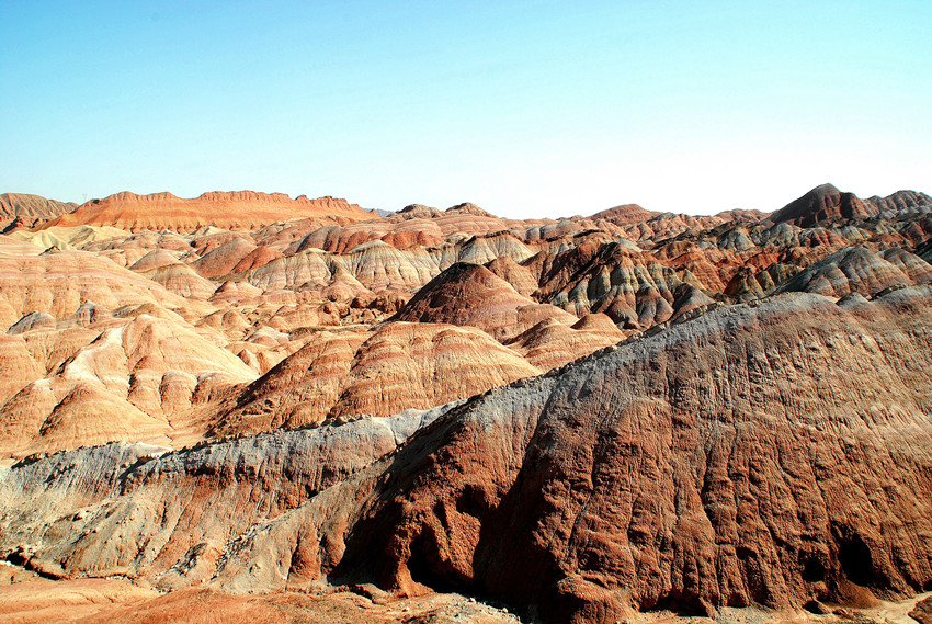 DSC_6922_conew1_.jpg