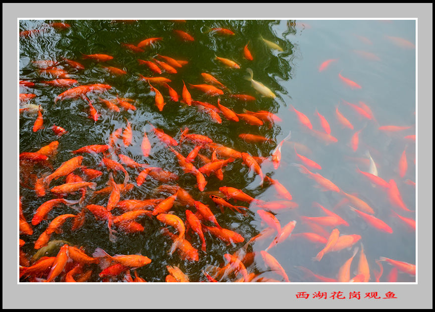 20131018պƬ 01821.jpg